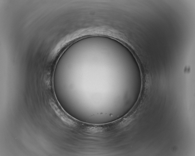 X0000115621499200911101403