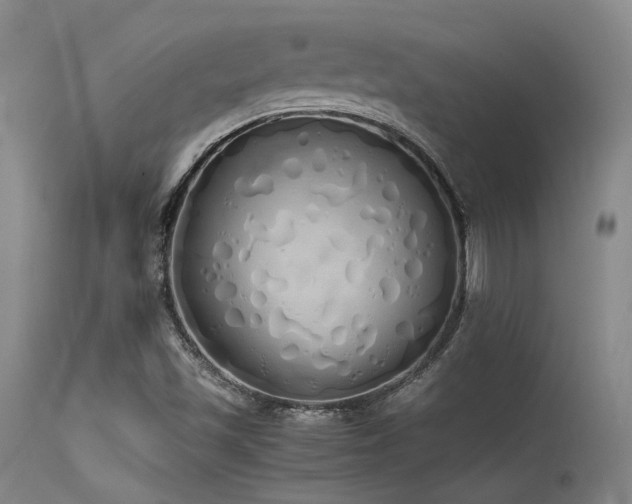 X0000115621501200911101403