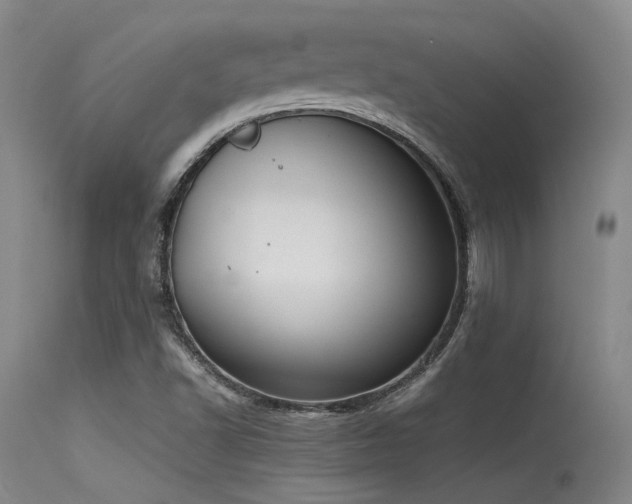 X0000115621502200911101403