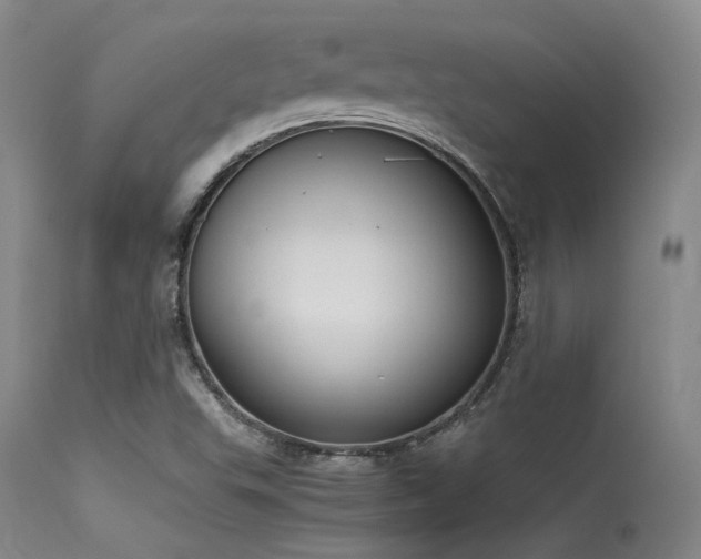 X0000115621503200911101403