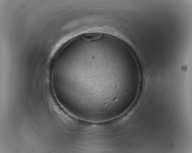 X0000115621506200911101403