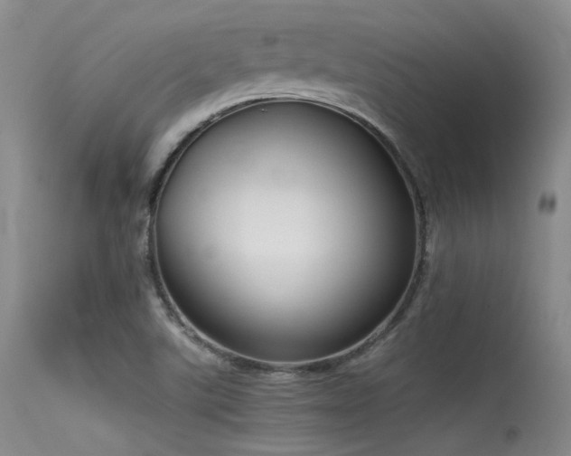 X0000115621507200911101404