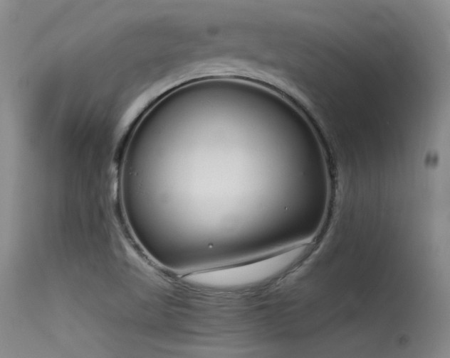 X0000115621509200911101404