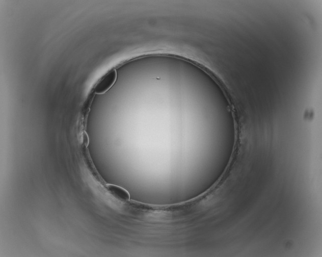 X0000115621510200911101404