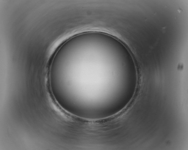 X0000115621511200911101404