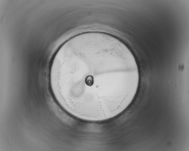 X0000115621514200911101404