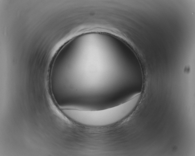 X0000115621518200911101404