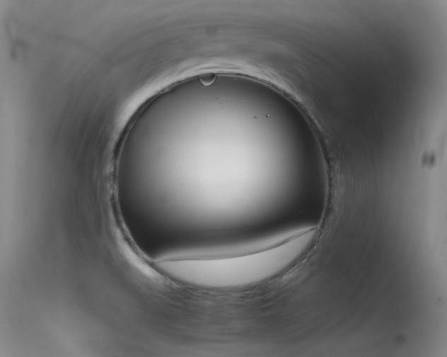 X0000115621519200911101404