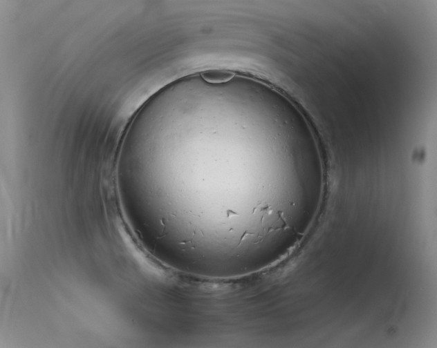 X0000115621521200911101404