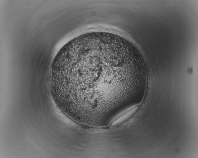 X0000115621522200911101404