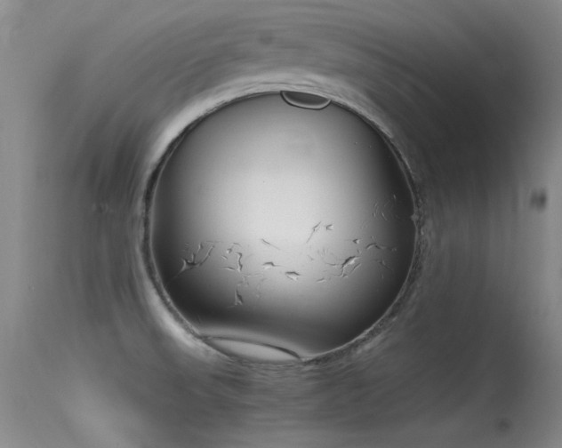 X0000115621523200911101404