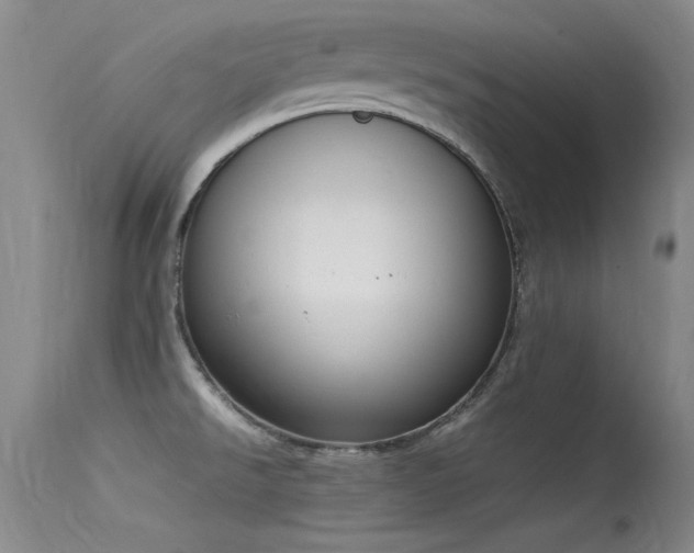 X0000115621526200911101404