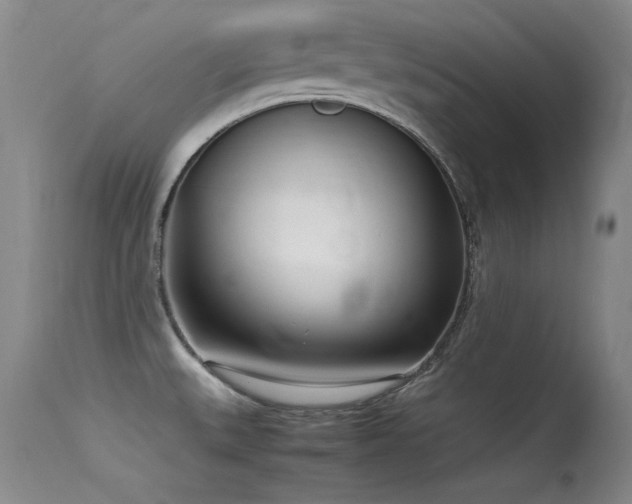 X0000115621527200911101404