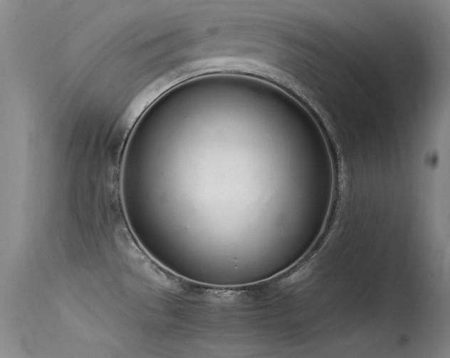 X0000115621529200911101404