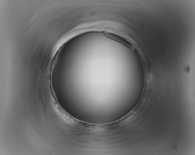 X0000115621530200911101404