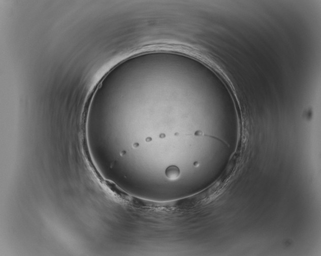 X0000115621533200911101404