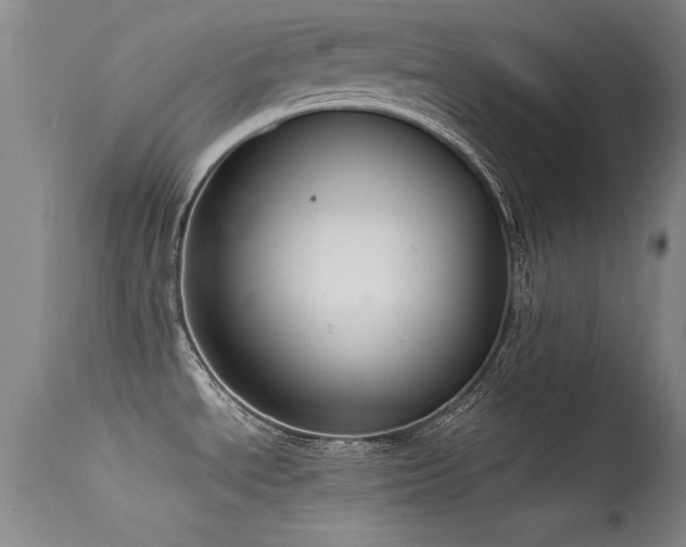 X0000115621534200911101404