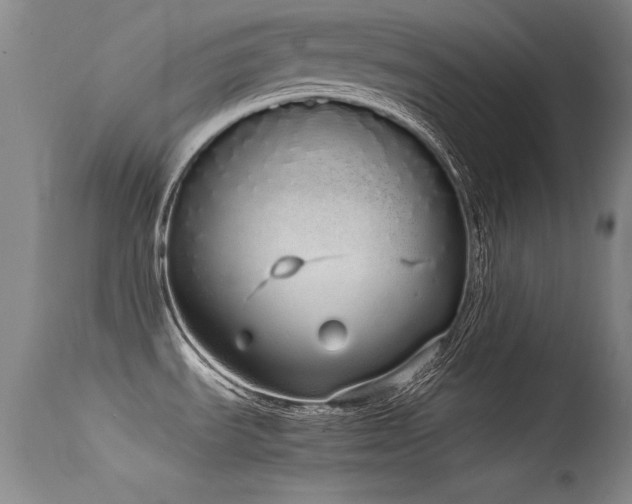 X0000115621535200911101404