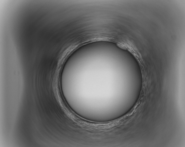 X0000115620001200911171325