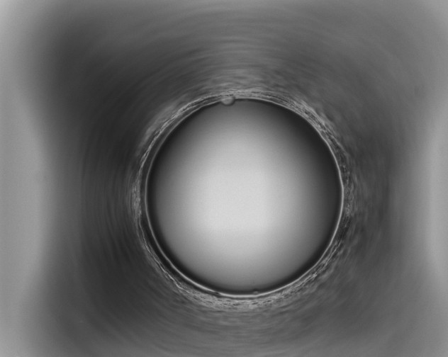 X0000115620002200911171325