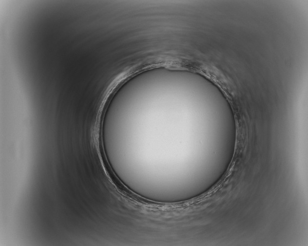 X0000115620003200911171325