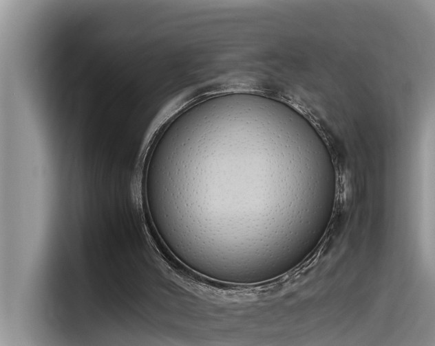 X0000115620004200911171325