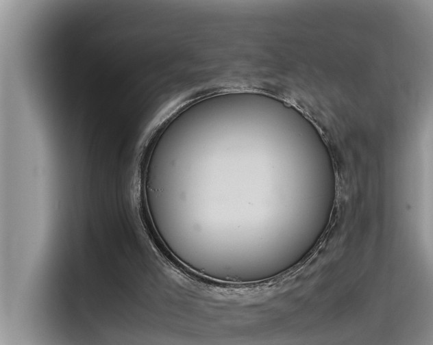 X0000115620005200911171325