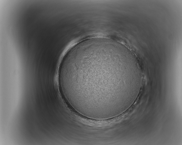 X0000115620006200911171325