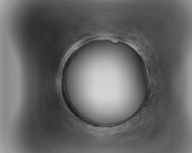 X0000115620007200911171325