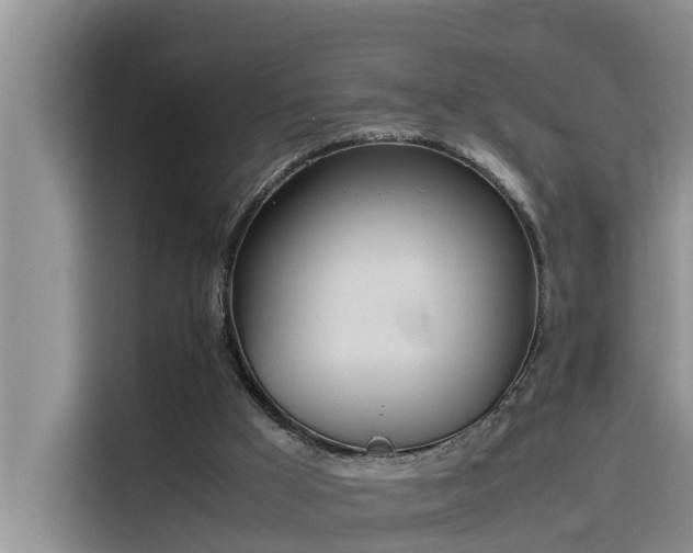 X0000115620009200911171325