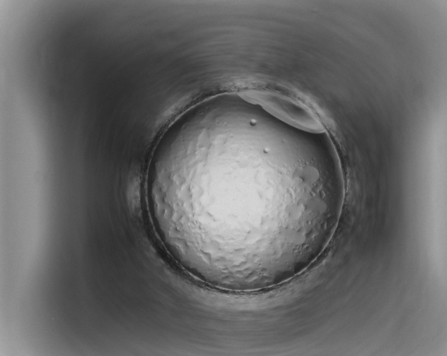 X0000115620010200911171325