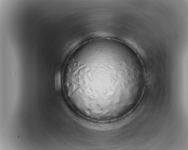 X0000115620014200911171325