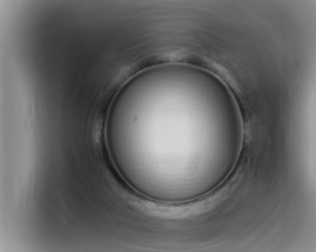 X0000115620018200911171325