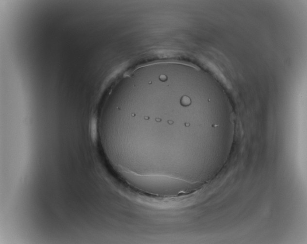 X0000115620019200911171325