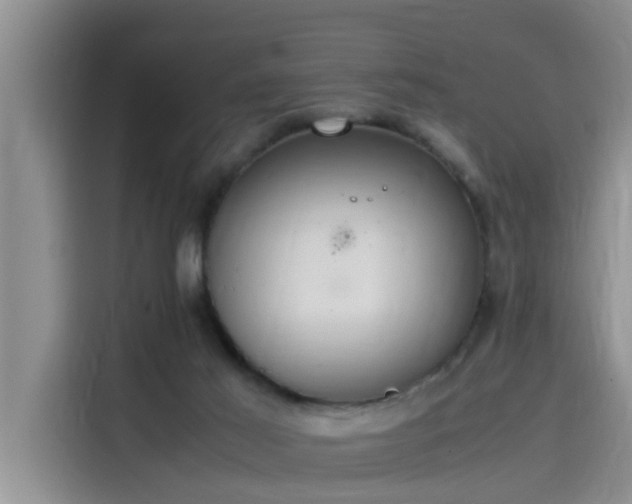 X0000115620021200911171325