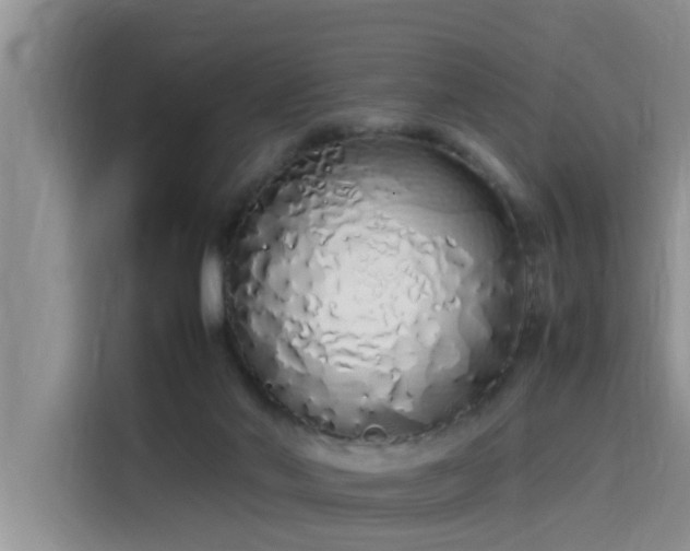 X0000115620022200911171325