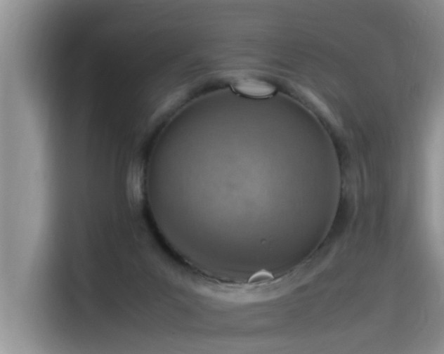 X0000115620023200911171325