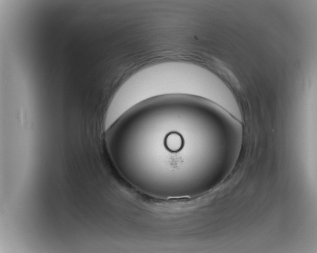 X0000115620025200911171325