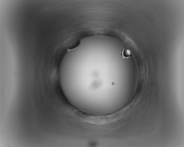 X0000115620029200911171325