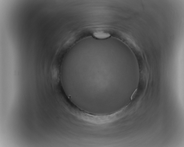 X0000115620031200911171325