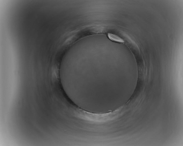 X0000115620035200911171325