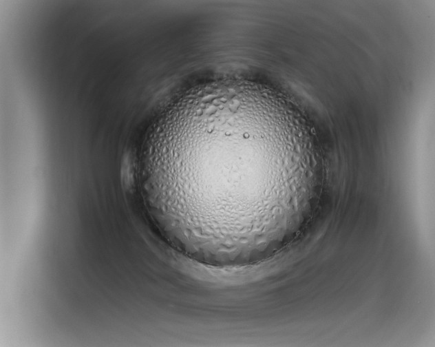 X0000115620038200911171325