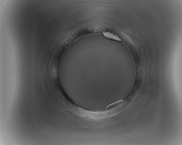 X0000115620039200911171325