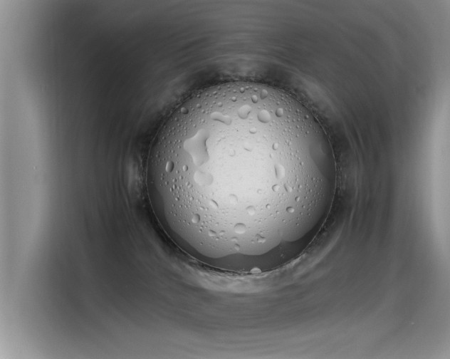 X0000115620040200911171324