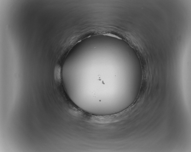 X0000115620041200911171324