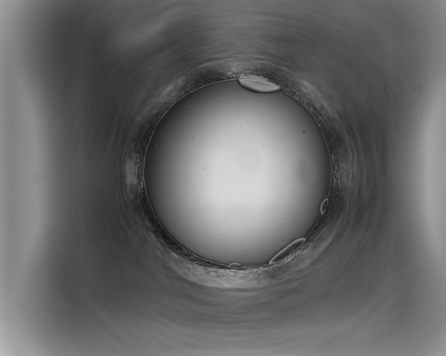 X0000115620044200911171324