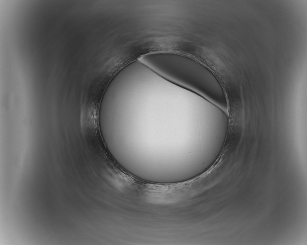 X0000115620045200911171324