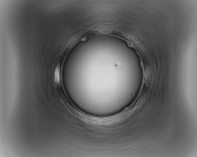 X0000115620046200911171324