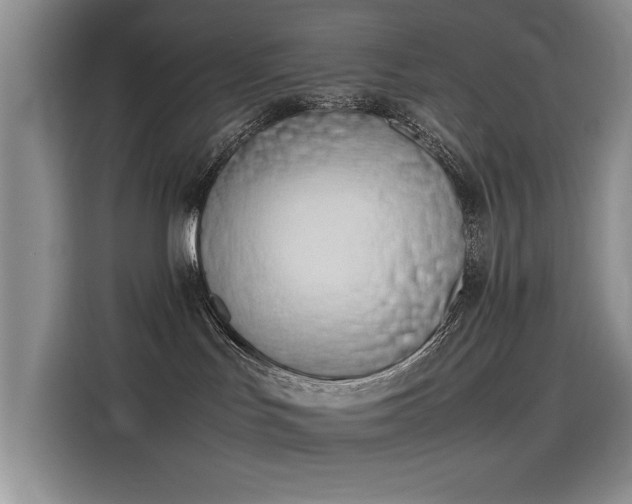 X0000115620047200911171324