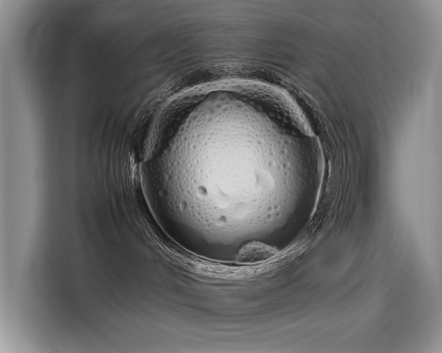 X0000115620048200911171324